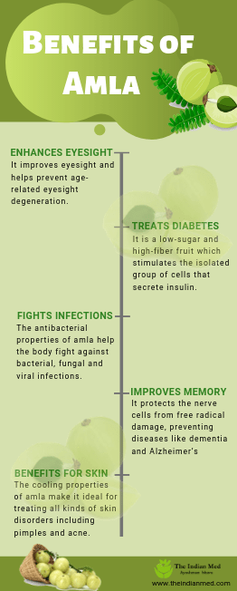 health benefits of amla indian gooseberry the indian med health benefits of amla indian