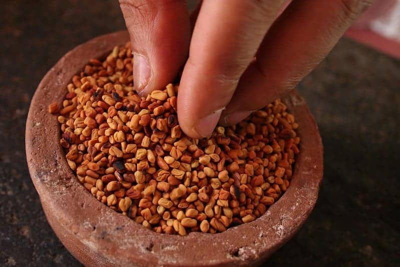 Use Vendhayam (Fenugreek) for Amazing Hair Growth - The Indian Med