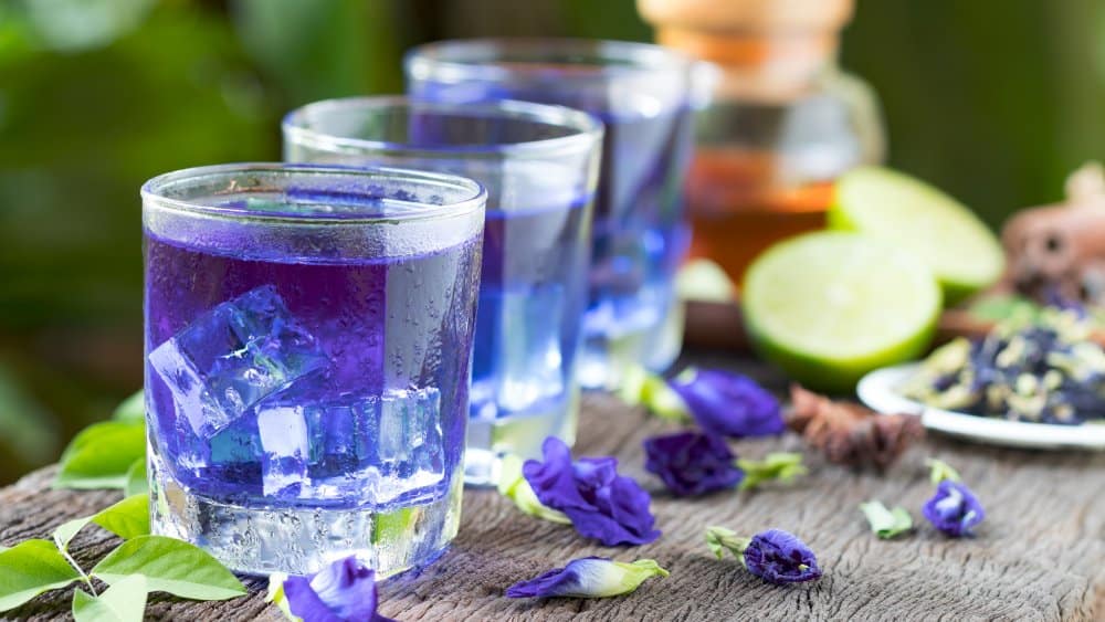 blue-tea-sangu-poo-benefits